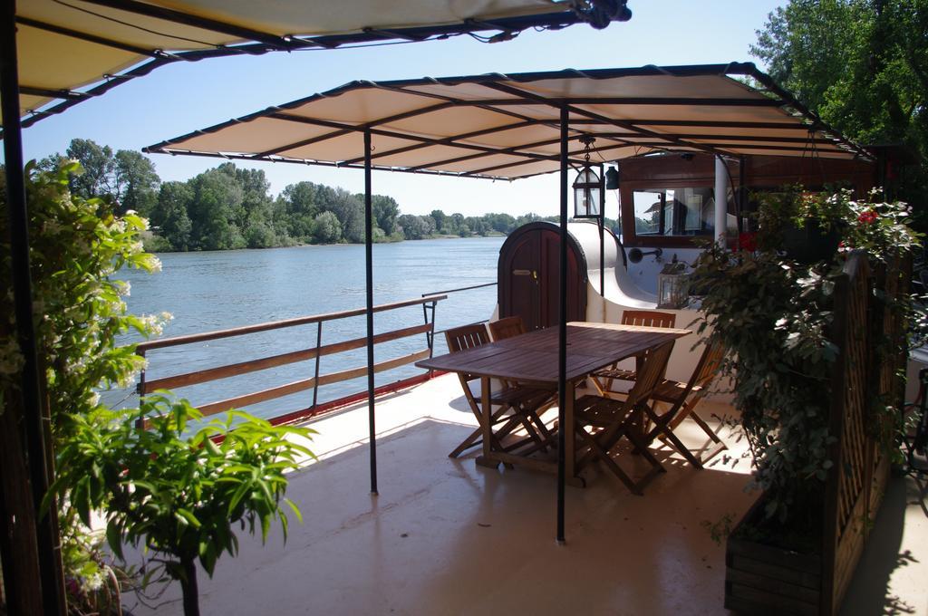 Peniche Le Hasard Bed and Breakfast Villeneuve-lès-Avignon Eksteriør billede