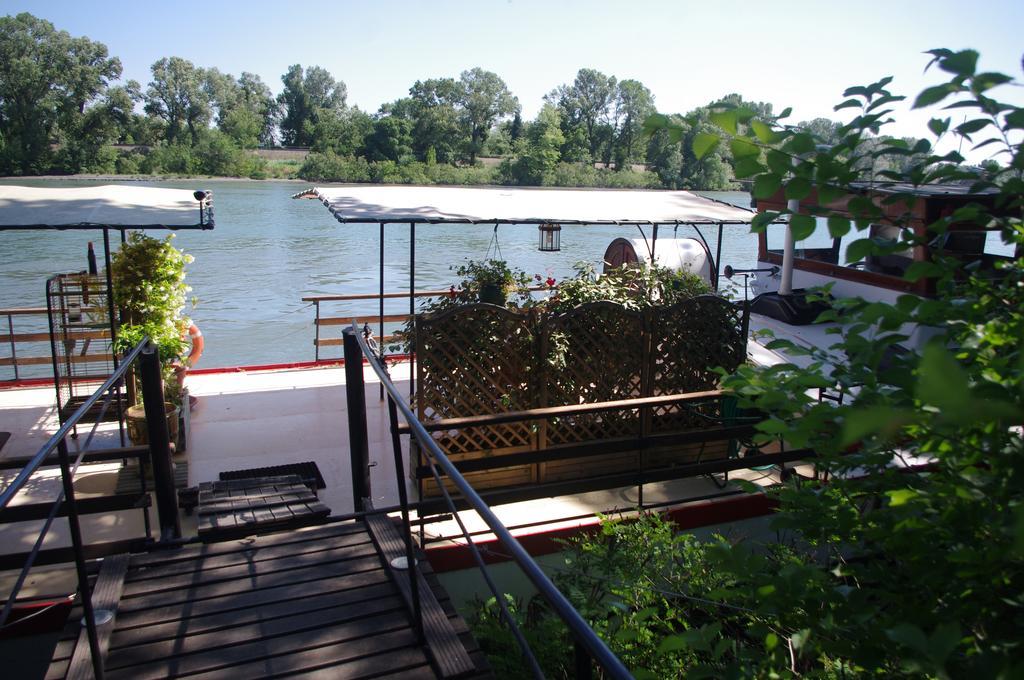 Peniche Le Hasard Bed and Breakfast Villeneuve-lès-Avignon Eksteriør billede